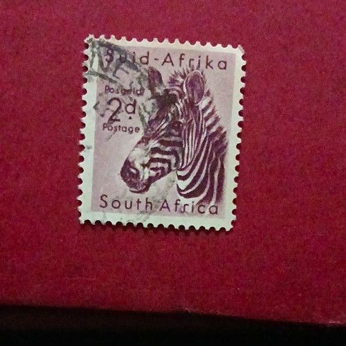 South Africa 2d Zebra Postage Stamp Used Grey/Black Animals Elizabeth II