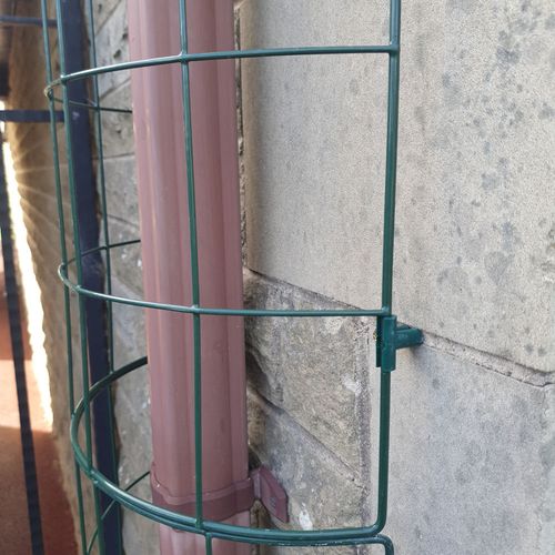 Wall Plant Support Trellis Mesh For Climbing Climbers Metal Frame Flexigro Panel — image 6