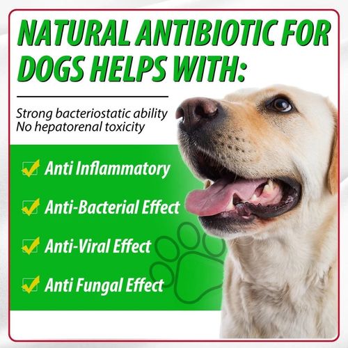 Natural Herbal Drops for Dogs 60ml, Immune Support Supplement, Skin & Gut Health — image 4