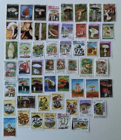 Mushrooms/Fungi Stamps Collection - 50 to 300 Different Stamps 