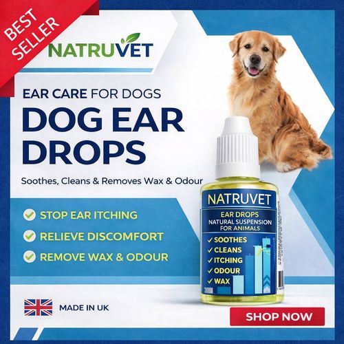 Dogs Yeast Ear Drops For Yeasty Ears Large 30ml, DOGS EAR DROPS FOR DOGS CATS , — image 2