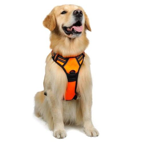 rabbitgoo No-Pull Pet Dog Harness with Handle Adjustable Reflective Padded Vest