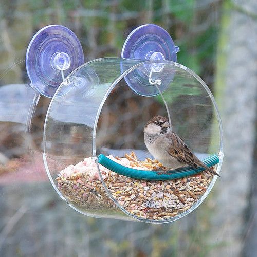 Outdoor Bird Feeder Window Acrylic Suction Cup Bird Hanging Food Dispenser