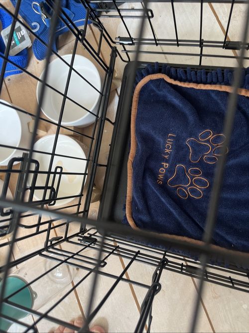 Job Lot Dog Items See Pictures for Details — image 21