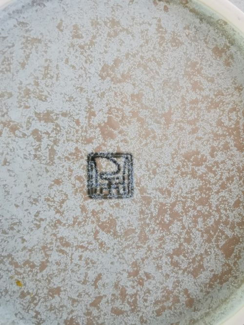 Vintage Japanese Plate, Cherry Blossom, Pale Blue, Kafuh, 23cm Wide, Rare in UK — image 5