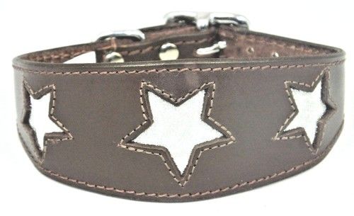 Greyhound Whippet Leather Hound Dog Collar Padded Backing Sparkle Glitter Star 