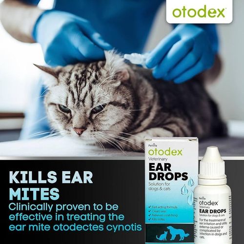 Petlife Otodex Ear Drops for Dog Cat Clear Wax Mites Cleanser Itching 14ml — image 5