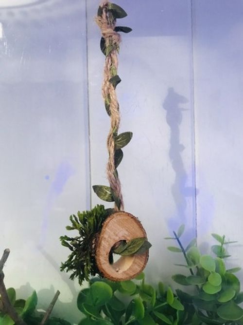 Jumping  Spider/reptile Magnetic Rope Log Swing For Enclosures/ Habits/fairy