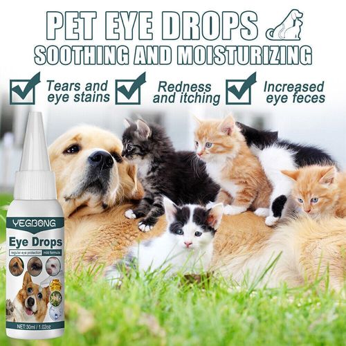 Pet Conjunctivitis Treatment Pet Eye Care Drops Care and Clean Pet Eyes Uk — image 11