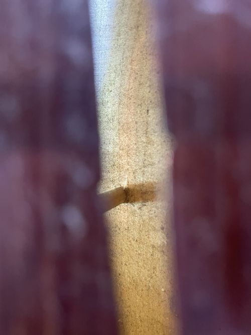 Antique Old Violin — image 12