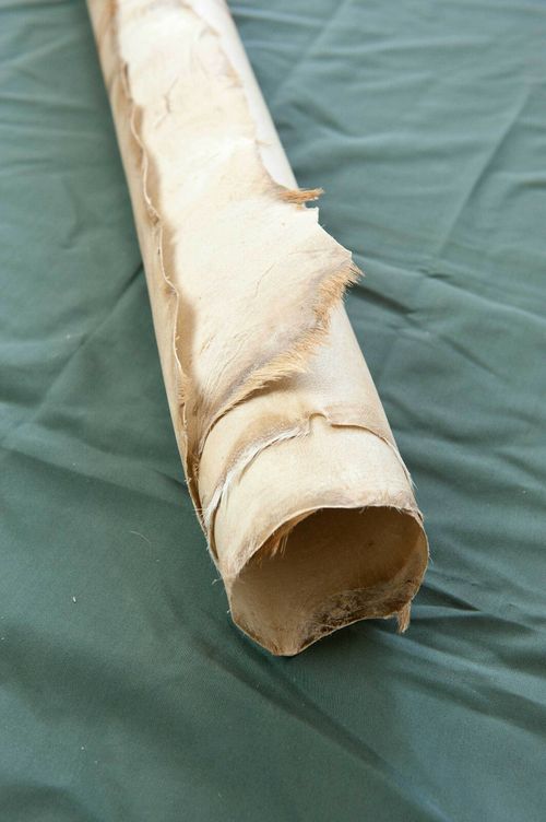 real parchment goat parchment rawhide bookbinding — image 3
