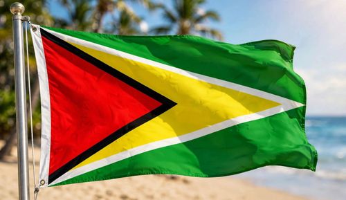Guyana Large Flag (8ft x 5ft) — image 2