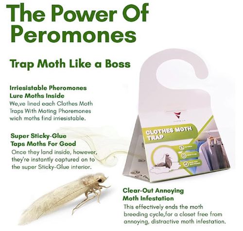 Professional Clothes Moth Killer 6 Pack with Strong Pheromone Attractant — image 4
