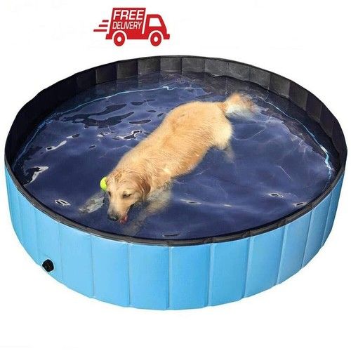 2026 XX-Large Pet Bath Dog Swimming Pool Splash Bath Paddling Pool Puppy Bathtub