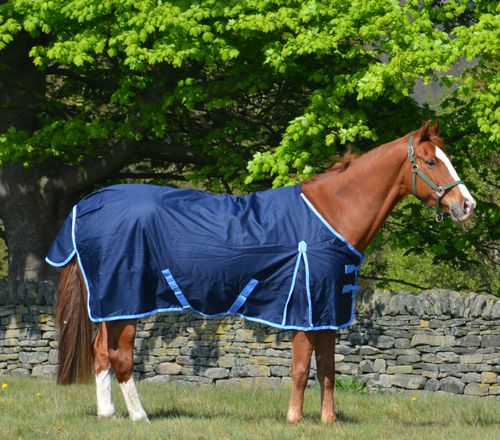 Waterproof 600d Mediumweight Turnout Rug Navy 200g Fill - Combo or Std All Sizes — image 1