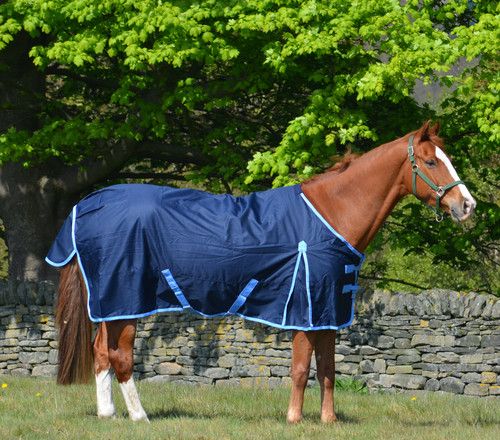 Waterproof 600d Mediumweight Turnout Rug Navy 200g Fill - Combo or Std All Sizes