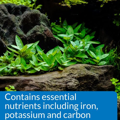API Root Tabs Freshwater Plant Fertilizer Tablets Pack of 10 (3-Pack) – Aquarium — image 5