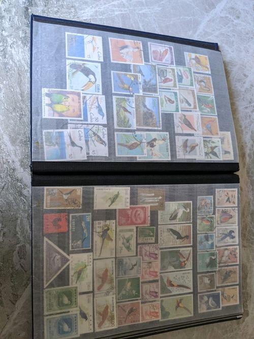 Birds of the World Stamps .over  1250 stamps , lee than 15p each — image 16