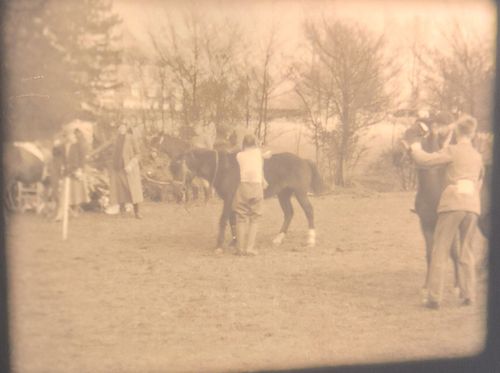 16mm CINE FILM HOME MOVIE FAMILY HORSES CHILDREN PLAYING GAMES CHARMING 1930s — image 13