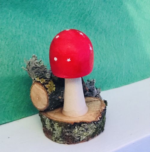 Jumping Spider/reptile/fairy Garden  Toadstool Hide Enclosure Decor — image 4