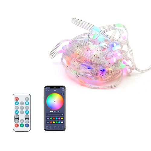 Smart LED Lights RGBIC Wifi APP Alexa Google Voice Control IR Remote Music Sync