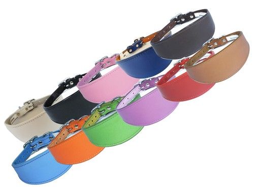 Basic Greyhound Collar Leather Dog Collar Padded Backing 14-17 Inch