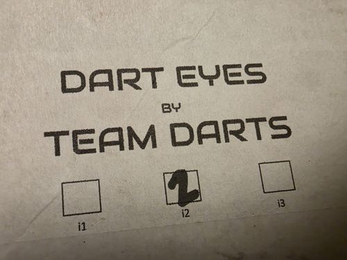 Team Darts Dart Eyes for Autodarts setup — image 1