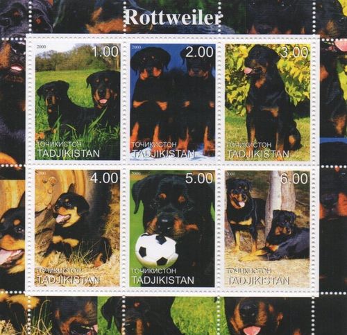 ROTTWEILER DOG CANINE ANIMAL PET 2000 MNH STAMP SHEETLET — image 1