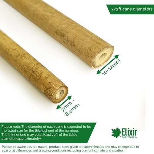 Strong Heavy Duty Professional Bamboo Plant Support Garden Canes | 2ft - 10ft