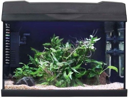 Swell UK Fish Tank 40cm | Tropical Freshwater LED Aquarium Kit | 19ltrs
