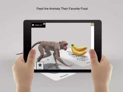 Octagon 4D+ Animals Cards - Augmented Reality, Educational Toy — image 6