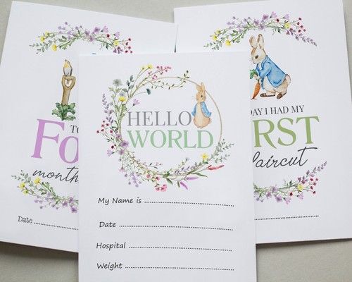 Peter Rabbit Milestone Cards • Baby Memory Cards •  Baby Gift • 1st Year