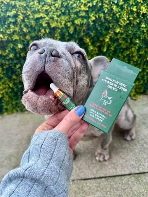 🇬🇧20k+ SOLD 5ml Ear Mite Treatment Blaster Spray Drops Anxious Pets Itchy Ears — image 7