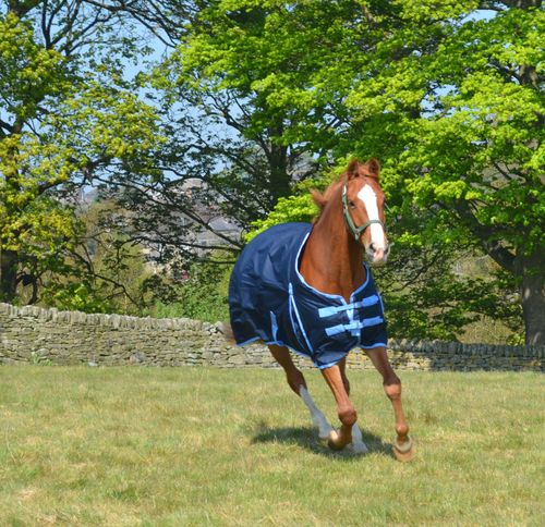 Waterproof 600d Mediumweight Turnout Rug Navy 200g Fill - Combo or Std All Sizes — image 7