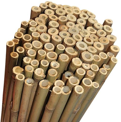 Professional Heavy Duty Bamboo Canes Strong Garden Canes Plant Support 2FT-6FT ! — image 2