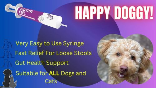 Fast Acting Dog & Cat Probiotic Paste–Gut Health & Stomach Relief, Vet Approved — image 2