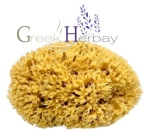 Natural Dried Greek Sea Sponge Unbleached 5.0"-5.50" inches(12-14cm) Kalymnos.