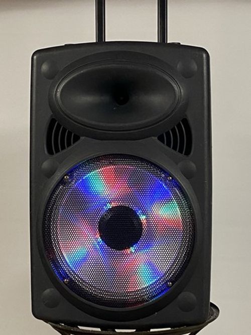 Fenton FPS12 Party Speaker