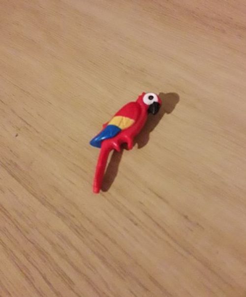 Playmobil PETS/BIRDS/INSECTS Spares *MORE ADDED*