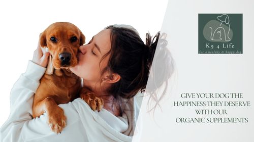 2 x 60,000mg 60ml High Strength Hemp Calming Oil Dogs and Cat 100% Pure Organic — image 4