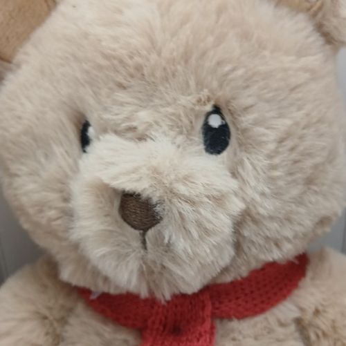 Teddy Bear Hot Water Bottle & Cover Beige Faux Fur with Red Scarf — image 3
