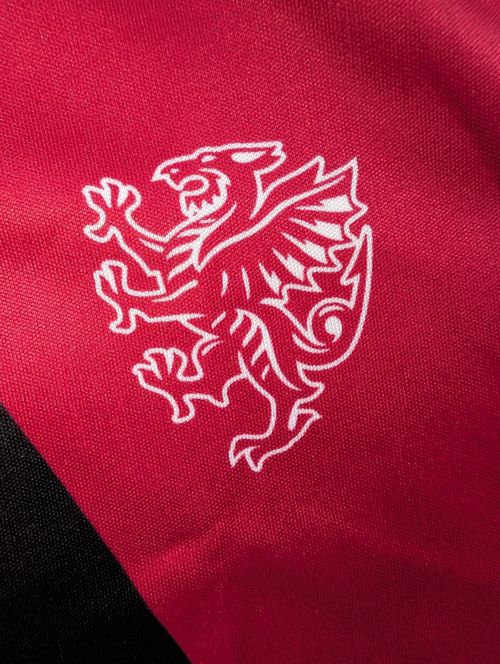 Somerset CCC 1990s Retro Cricket Shirt Replica Jersey Adult S-5XL UK Stock — image 9