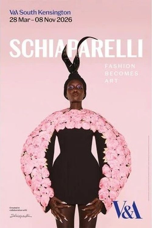 Official SCHIAPARELLI: FASHION BECOMES ART Exhibition V&A POSTER 20x30 in @ NEW