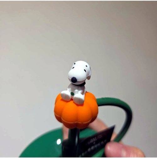Starbucks Korea x Peanuts 2026 Snoopy Pumpkin Peanuts Mug 414ml