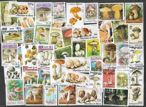 MUSHROOMS FUNGI ON STAMPS 50  ALL DIFFERENT COLLECTION  NATURE  28/3/26