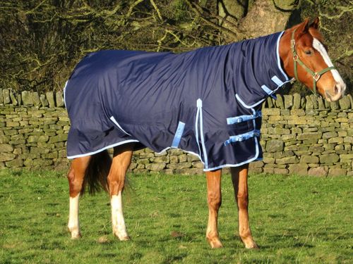 Waterproof 600d Mediumweight Turnout Rug Navy 200g Fill - Combo or Std All Sizes — image 4