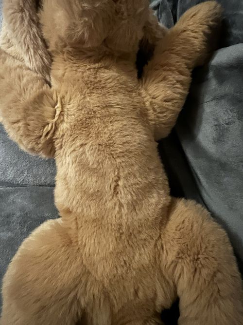 Gund Muttsy Puppy Dog 30” Vintage — image 7