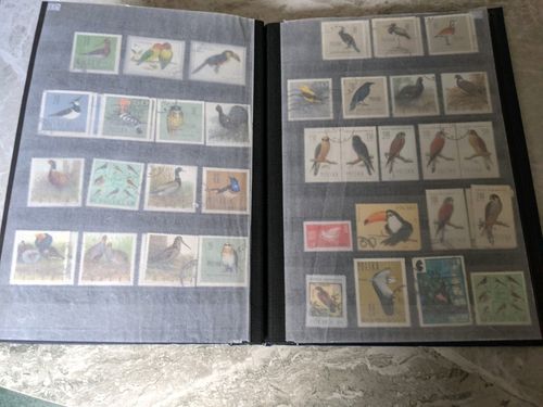 Birds of the World Stamps .over  1250 stamps , lee than 15p each — image 11