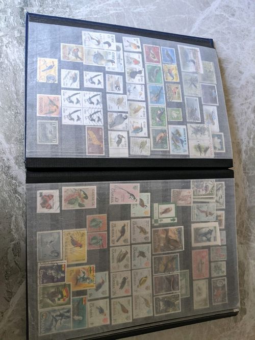 Birds of the World Stamps .over  1250 stamps , lee than 15p each — image 17
