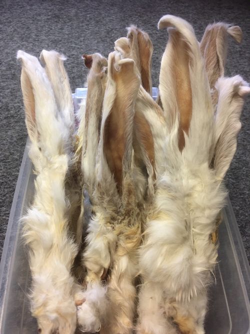 1kg FURRY Rabbit Ears with FUR HAIR For Dogs Clearance Price Treats Raw Natural — image 2